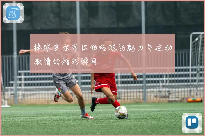 棒球多尔带你领略球场魅力与运动激情的精彩瞬间