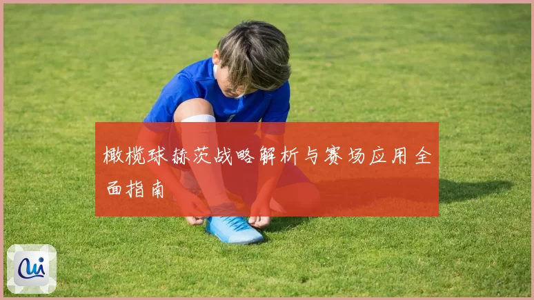 橄榄球赫茨战略解析与赛场应用全面指南