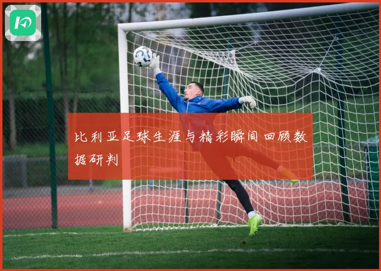 比利亚足球生涯与精彩瞬间回顾数据研判