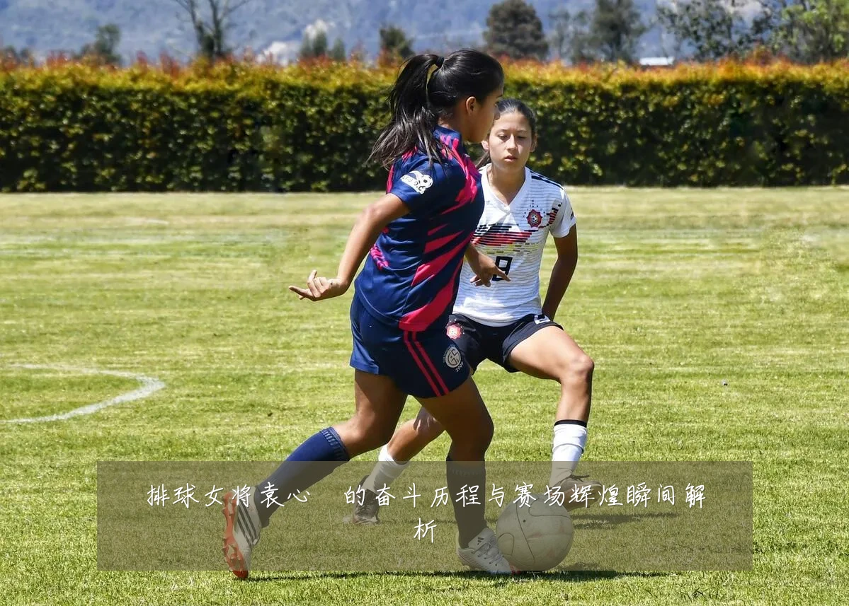 排球女将袁心玥的奋斗历程与赛场辉煌瞬间解析