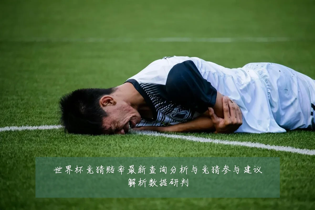 世界杯竞猜赔率最新查询分析与竞猜参与建议解析数据研判